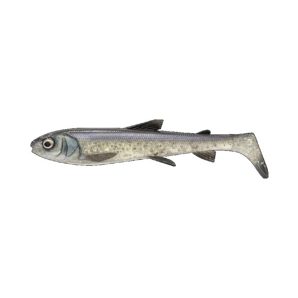 3D 23cm Whitefish Shad – BIG LURE SHOP