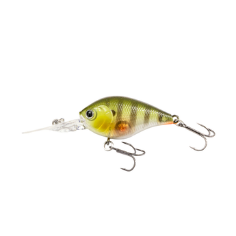 Kaishin Crank 45 SR