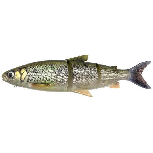 3D LT Whitefish 22cm 107g MS