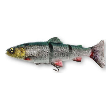 4D LT TROUT 25CM 180G SS