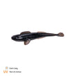 Finesse Goby 8.5cm