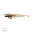 Zeck ZANDER Quappie 15cm