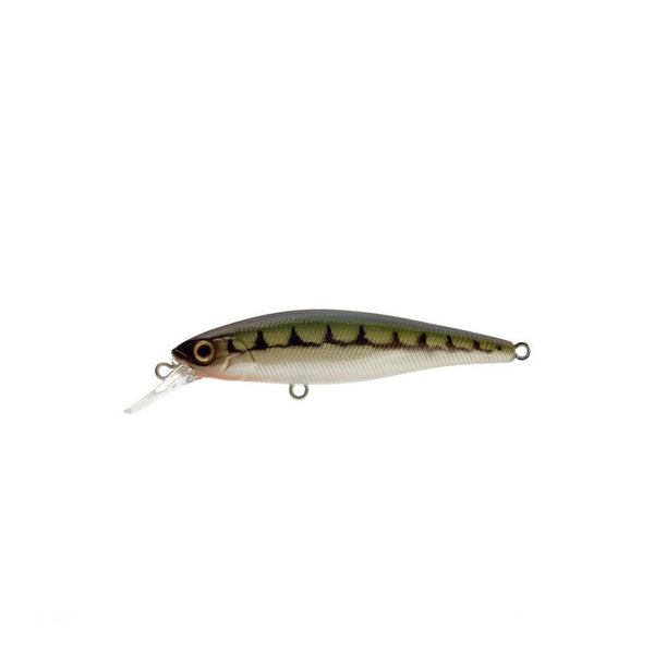 Illex Squad Minnow 65 SP