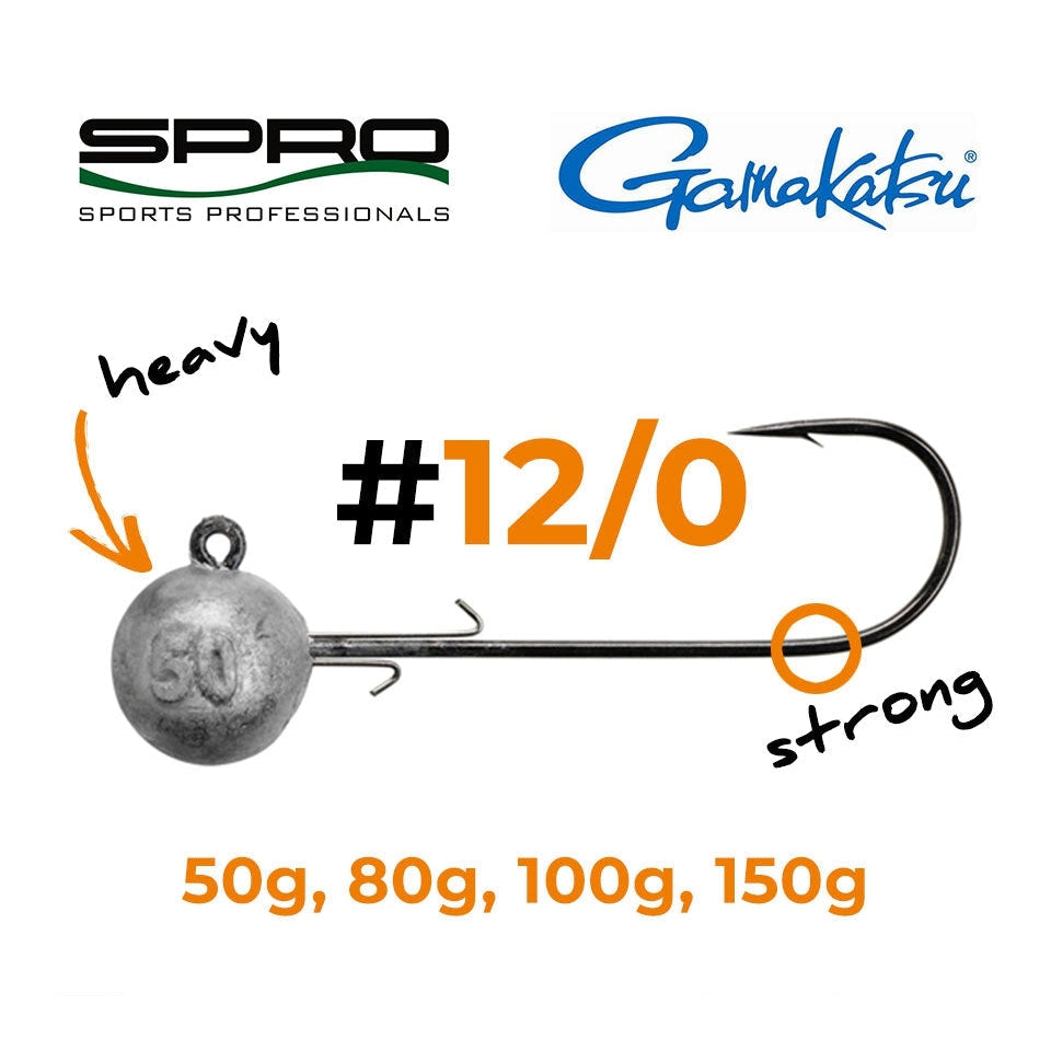 SPRO Jighead HD 90 Special Jig - 2 Teste Piombate Per Esche In Gomma, Con Ami Gamakatsu - 2