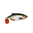 Westin Ricky the Roach Shadtail 18cm